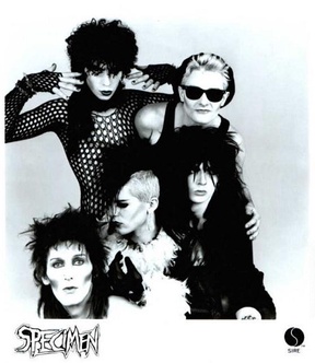 Portrait or other artwork representing [{3ce78061-20e5-4a7f-ae59-c49e38fd81c3 Release gothic-rock.jpeg} {56fd4df7-41a0-454f-b0b9-9eaf2167ea42 Release gothic-rock-2.jpeg} {9669abdc-23cc-423c-bd07-a096fead912c Artist specimen.jpeg}]