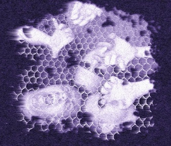 Portrait or other artwork representing [{148090bf-d5d4-4a0a-966c-20c9d10bca9b Release we-came-to-dance-volume-ix.jpeg} {4ab93cfa-c7e4-446c-94bc-c043e17a6a87 Release wing-commander-prophecy.jpeg} {c3c7793e-68fc-49c8-b7dd-a58c56693376 Artist cobalt-60-2.jpeg} {c3c7793e-68fc-49c8-b7dd-a58c56693376 Artist cobalt-60.jpeg}]