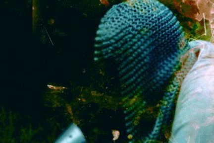 Portrait or other artwork representing [{bb054778-20fa-4673-b3ac-fc0b0021451d Release gotteskrieger.jpeg} {c42a23e6-4d8d-41ca-9d96-5ebd41f67ed6 Release cop-22nd-anniversary-compilation.jpeg} {e80523e3-6d75-49e6-8ff3-e275a644b5d3 Artist heimataerde.jpeg}]