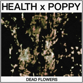 Dead Flowers