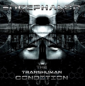 The Transhuman Condition