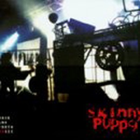 Back and Forth Volume 6