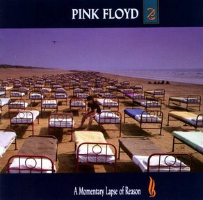 A Momentary Lapse Of Reason