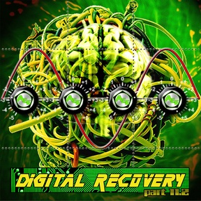 Digital Recovery Part 11.2