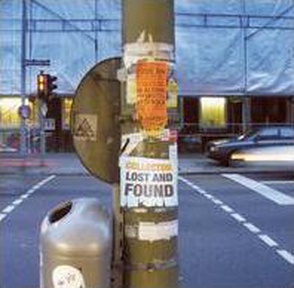 Collector: Lost and Found
